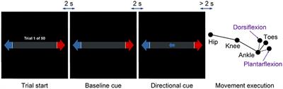 Decoding of Self-paced Lower-Limb Movement Intention: A Case Study on the Influence Factors